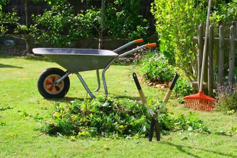 L’ALE RECHERCHE DES JARDINIERS 2 thumb 800 0 0 0 crop